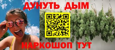 твердый Кингисепп