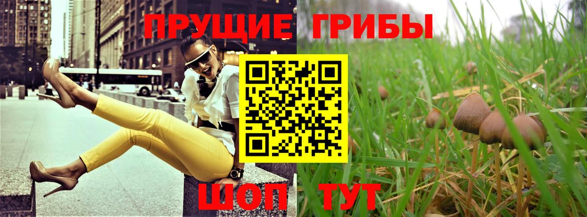 Биробиджан  продажа наркотиков  Галлюциногенные грибы Psilocybe  Вход с VPN  Псилоцибиновые грибы Magic Shrooms 
